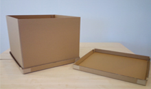 Oji India Packaging